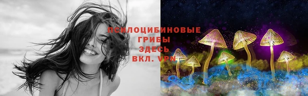 ГАЛЛЮЦИНОГЕННЫЕ ГРИБЫ Пересвет