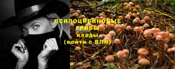 МДПВ Остров