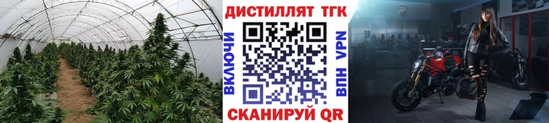 ТГК гашишное масло  гидра как войти  Светлоград 