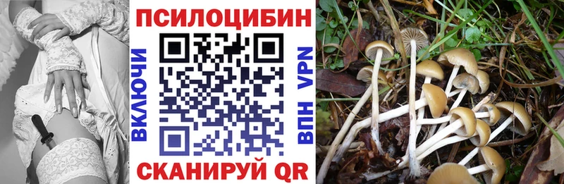 Псилоцибиновые грибы ЛСД  закладки  Светлоград 