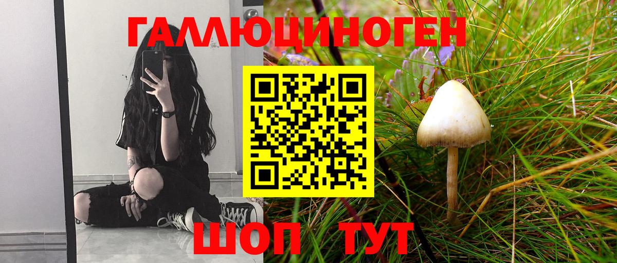 Псилоцибиновые грибы Psilocybe  Светлоград 