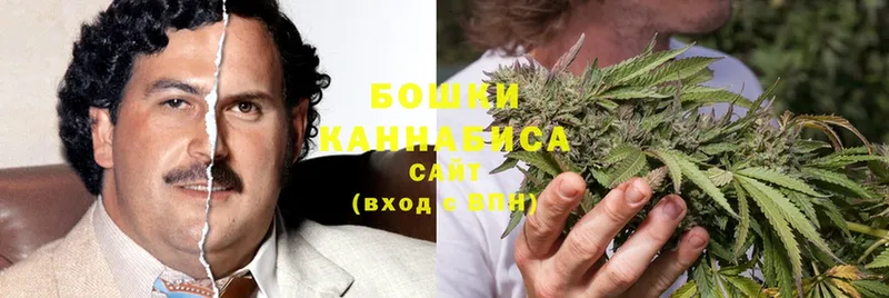 МАРИХУАНА Bruce Banner  где можно купить   KRAKEN зеркало  Светлоград 